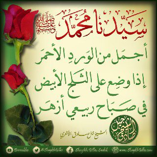 من إرث الشيخ الهرري رضي الله عنه {إنّ الدين عند اللهِ الإسلام}
