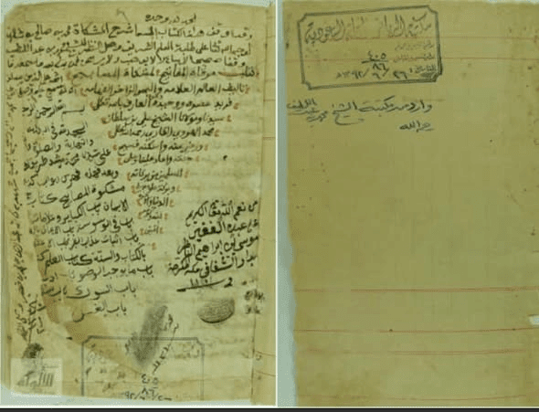 بيان تواتر أحاديث ظهور المهدي